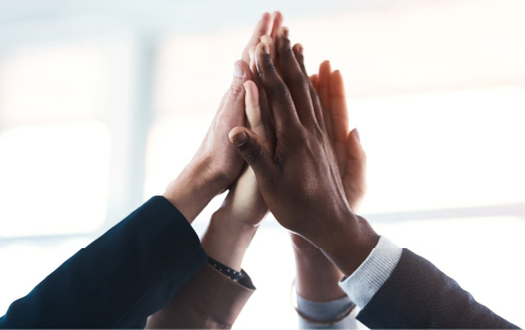 Business Structure and Brand Architecture