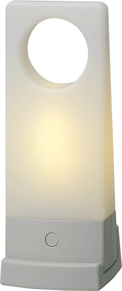 Portable light
