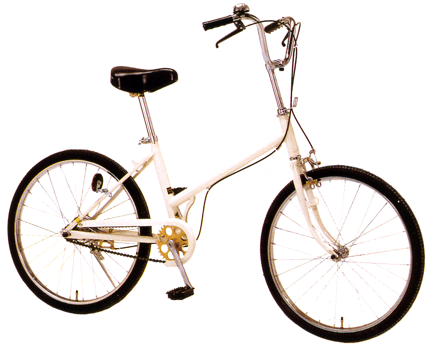 Bicycle (22-inch)