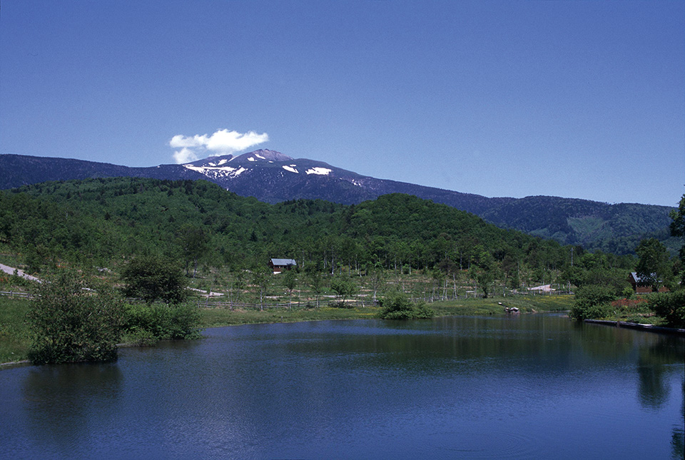 Muji Tsunan campsite