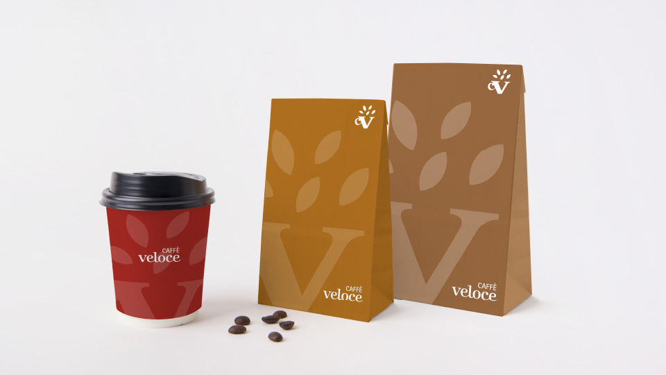 Shopping Bag / Paper Bag and Packaging Design